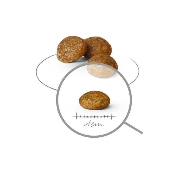 Foder Royal Canin Fåglar 3 Kg