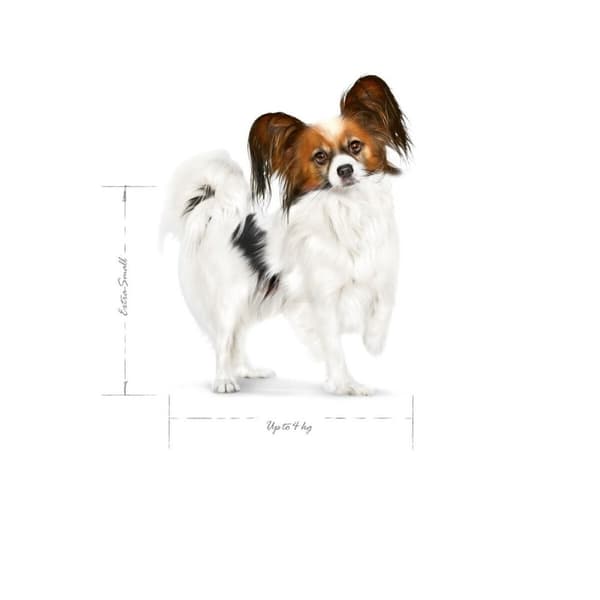 Foder Royal Canin Fåglar 3 Kg