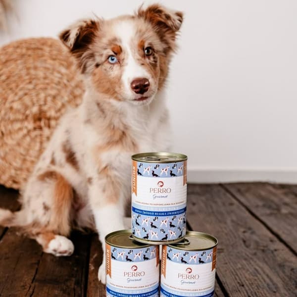 Våt mat PERRO Rådjur 800 g