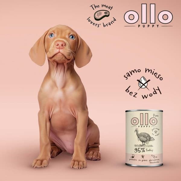 Våd mad Ollo