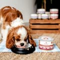 Miniatyrbillede 2 af 4: Våd mad PERRO Gris 410 g