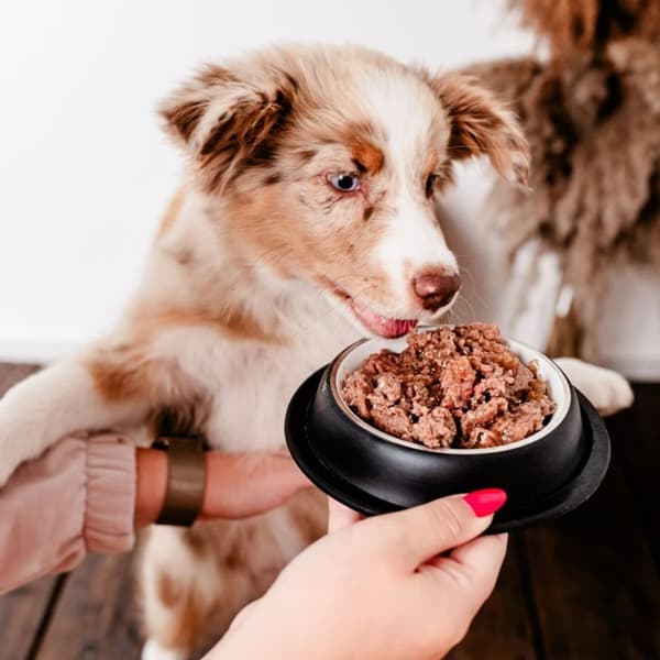 Våt mat PERRO 400 g