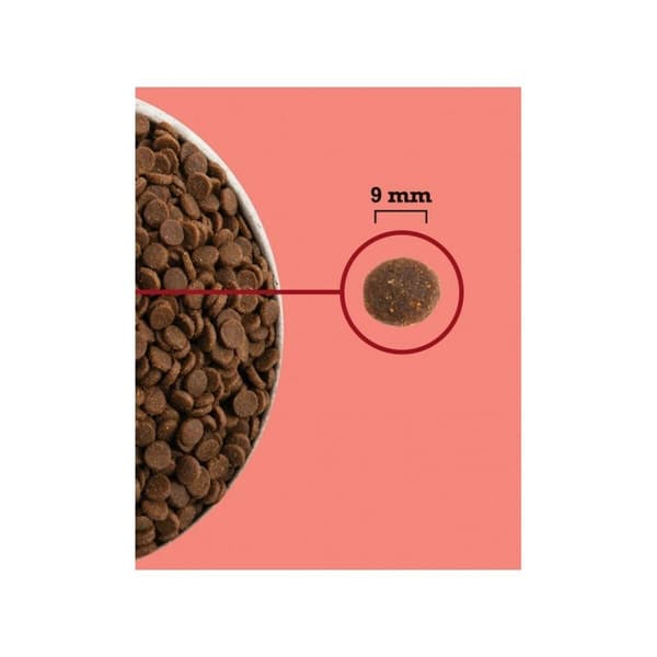 Kattemad Acana