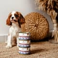 Miniatyrbillede 2 af 4: Våd mad PERRO Kalkun