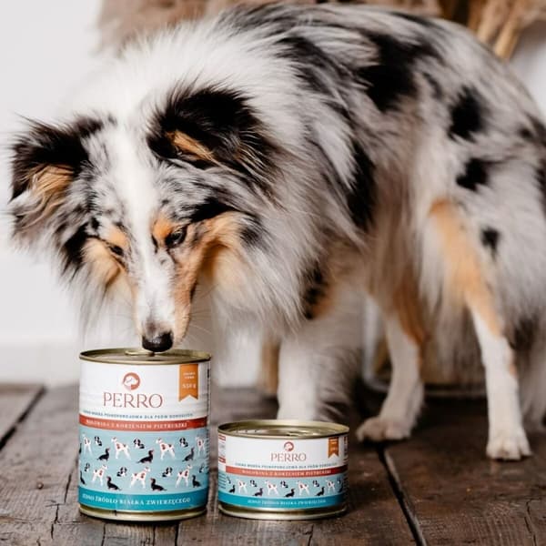 Kostea ruoka PERRO Pihvi 410 g
