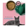 Miniatyrbild 3 av 9: Kattmat 3COTY Kalkon 80 g