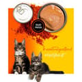 Miniatyrbild 6 av 10: Kattmat 3COTY Kyckling 80 g