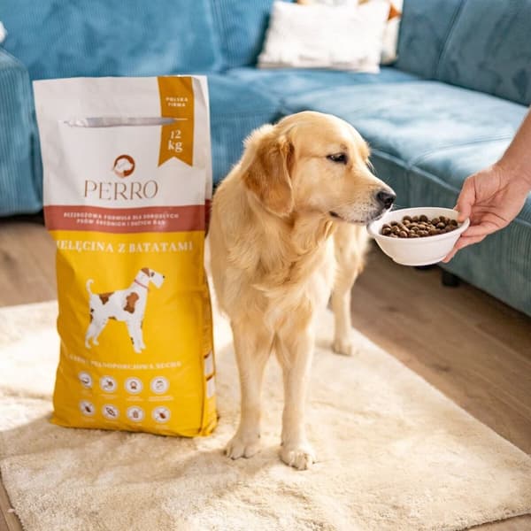 Foder PERRO Veal with sweet potatoes Medium and large breeds Oksekød 12 kg Voksen 12,7 KG