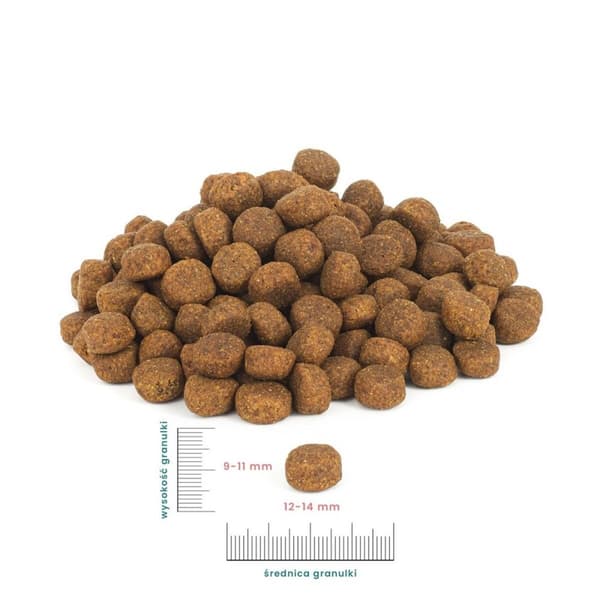 Rehu PERRO Turkey with sweet potatoes Medium and large breeds Turkki 12 kg Aikuinen 12,7 KG