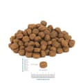 Pikkukuva 3 / 4: Rehu PERRO Turkey with sweet potatoes Medium and large breeds Turkki 12 kg Aikuinen 12,7 KG