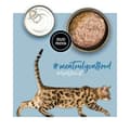 Miniatyrbild 6 av 10: Kattmat 3COTY Kalkon 80 g