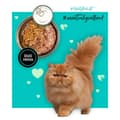 Miniatyrbild 5 av 9: Kattmat 3COTY Kyckling 80 g