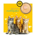 Miniatyrbild 5 av 10: Kattmat 3COTY Kyckling 80 g