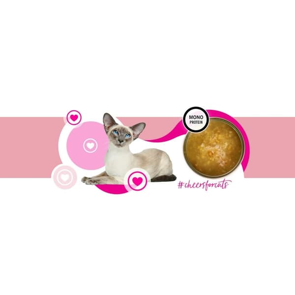 Kattmat 3COTY Kalkon 75 g