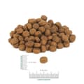 Miniatyrbild 2 av 2: Foder PERRO Junior Beef Kalvkött 9 kg Barn/junior 900 g