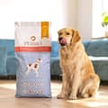 Miniatyrbild 4 av 4: Foder PERRO Turkey with sweet potatoes Medium and large breeds Kalkon 12 kg Vuxen 12,7 KG