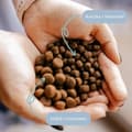 Miniatyrbild 2 av 2: Foder PERRO Duck with sweet potatoes Small breeds Anka 1 kg Vuxen