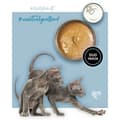 Miniatyrbillede 4 af 10: Kattemad 3COTY Kalkun 80 g
