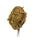Pikkukuva 5 / 9: Kissanruoka 3COTY Kana 80 g