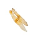 Miniatyrbild 2 av 2: Hundgodis Uniszki Oreja de conejo sin pelo Kanin 2 x 60 g