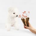 Miniatyrbild 2 av 7: Nature's Protection snacks JUNIOR hundgodis LAX KABANOS 110 g