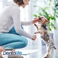 Miniatyrbild 2 av 2: Foder Purina Vuxen Kyckling 69 g