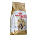 Miniatyrbild 2 av 3: Kattmat Royal Canin Bengal Adult Vuxen Grönsak Fåglar 2 Kg