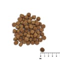 Miniatyrbild 3 av 3: Foder VETEXPERT Raw Paleo Healthy Grain Puppy Salmon y cebada Lax 2 Kg
