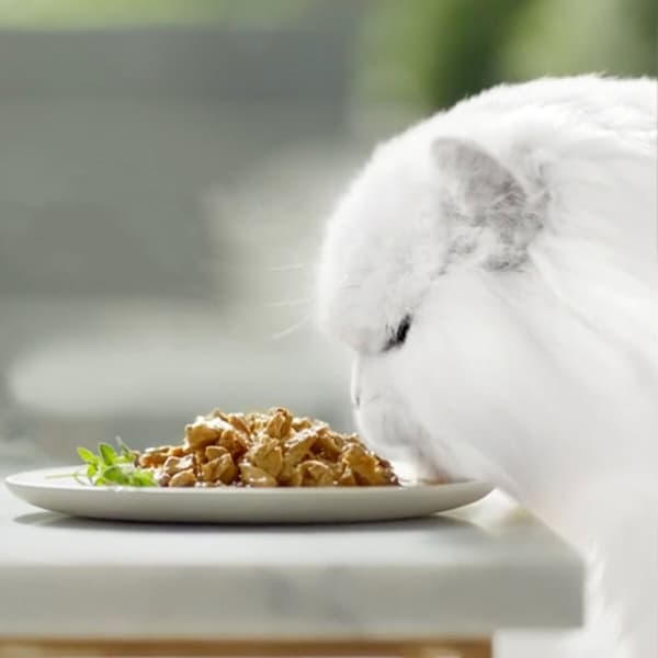 Våd mad Purina GOURMET 340 g