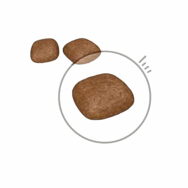 Kattemad Royal Canin Urinary Care Voksen Kylling Fugle 2 Kg