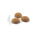 Miniatyrbillede 2 af 2: Kattemad Royal Canin Active Life Outdoor Voksen Fugle 4 Kg