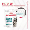 Miniatyrbillede 3 af 11: Hundesnack Royal Canin Supplements Dog Joint & Ageing Adult 240 g