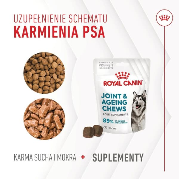 Hundesnack Royal Canin Supplements Dog Joint & Ageing Adult 240 g