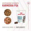 Miniatyrbillede 4 af 11: Hundesnack Royal Canin Supplements Dog Joint & Ageing Adult 240 g