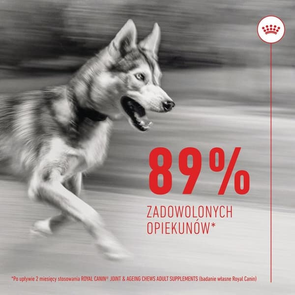 Hundesnack Royal Canin Supplements Dog Joint & Ageing Adult 240 g