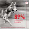 Miniatyrbillede 6 af 11: Hundesnack Royal Canin Supplements Dog Joint & Ageing Adult 240 g
