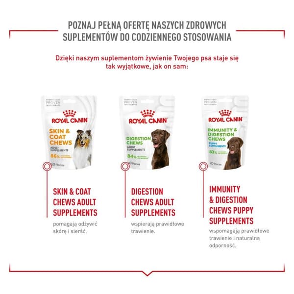 Hundesnack Royal Canin Supplements Dog Joint & Ageing Adult 240 g