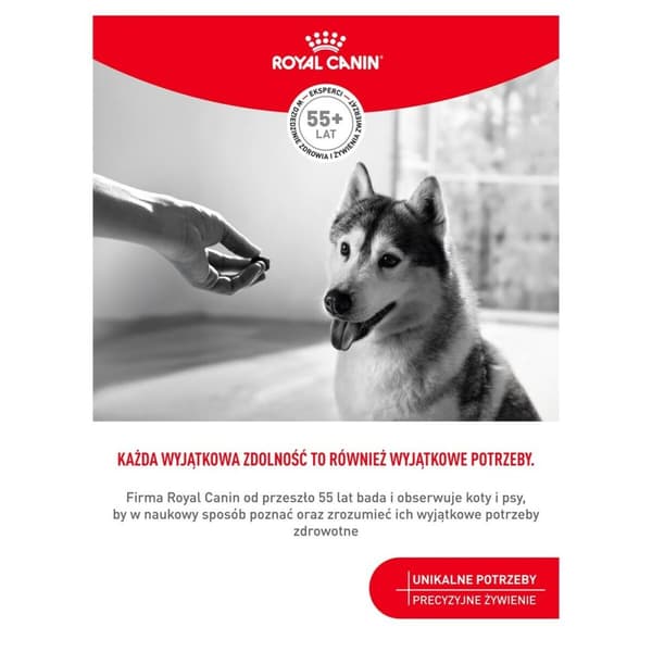 Hundesnack Royal Canin Supplements Dog Joint & Ageing Adult 240 g