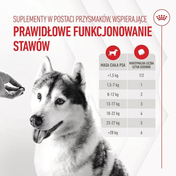 Hundesnack Royal Canin Supplements Dog Joint & Ageing Adult 240 g