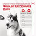 Miniatyrbillede 2 af 11: Hundesnack Royal Canin Supplements Dog Joint & Ageing Adult 240 g