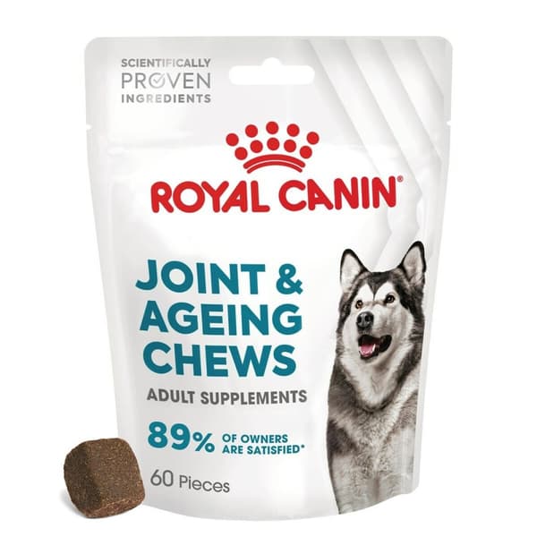 Hundesnack Royal Canin Supplements Dog Joint & Ageing Adult 240 g