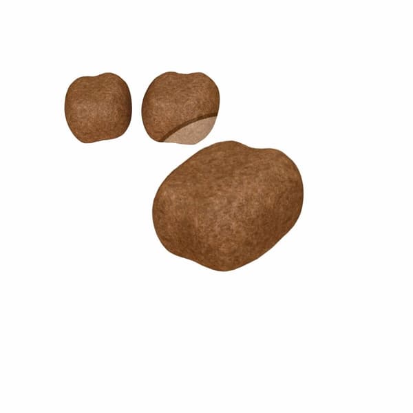 Kattmat Royal Canin Oral Care Vuxen 1,5 Kg