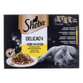 Miniatyrbild 1 av 3: Kattmat Sheba Delicacy in Jelly Kyckling Kalkon Anka Fåglar 100 g