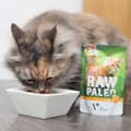 Miniatyrbild 2 av 3: Kattmat VETEXPERT Adult Cat 100 g
