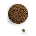 Miniatyrbild 3 av 3: Foder Acana Fisk 11,4 Kg
