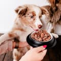 Miniatyrbillede 3 af 3: Våd mad PERRO 400 g
