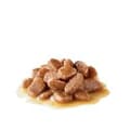 Miniatyrbild 2 av 2: Kattmat Royal Canin Digest Sensitive Care Kött 12 x 85 g