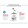 Miniatyrbillede 10 af 11: Hundesnack Royal Canin Training Treats 110 g