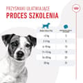 Miniatyrbillede 2 af 11: Hundesnack Royal Canin Training Treats 110 g