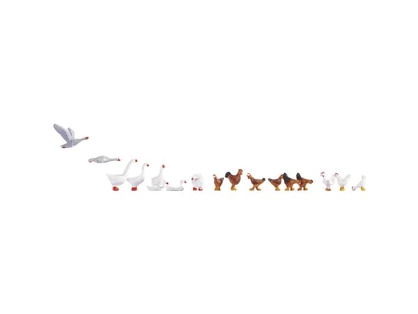 NOCH Chicken and Geese, HO (1:87), Multifärg